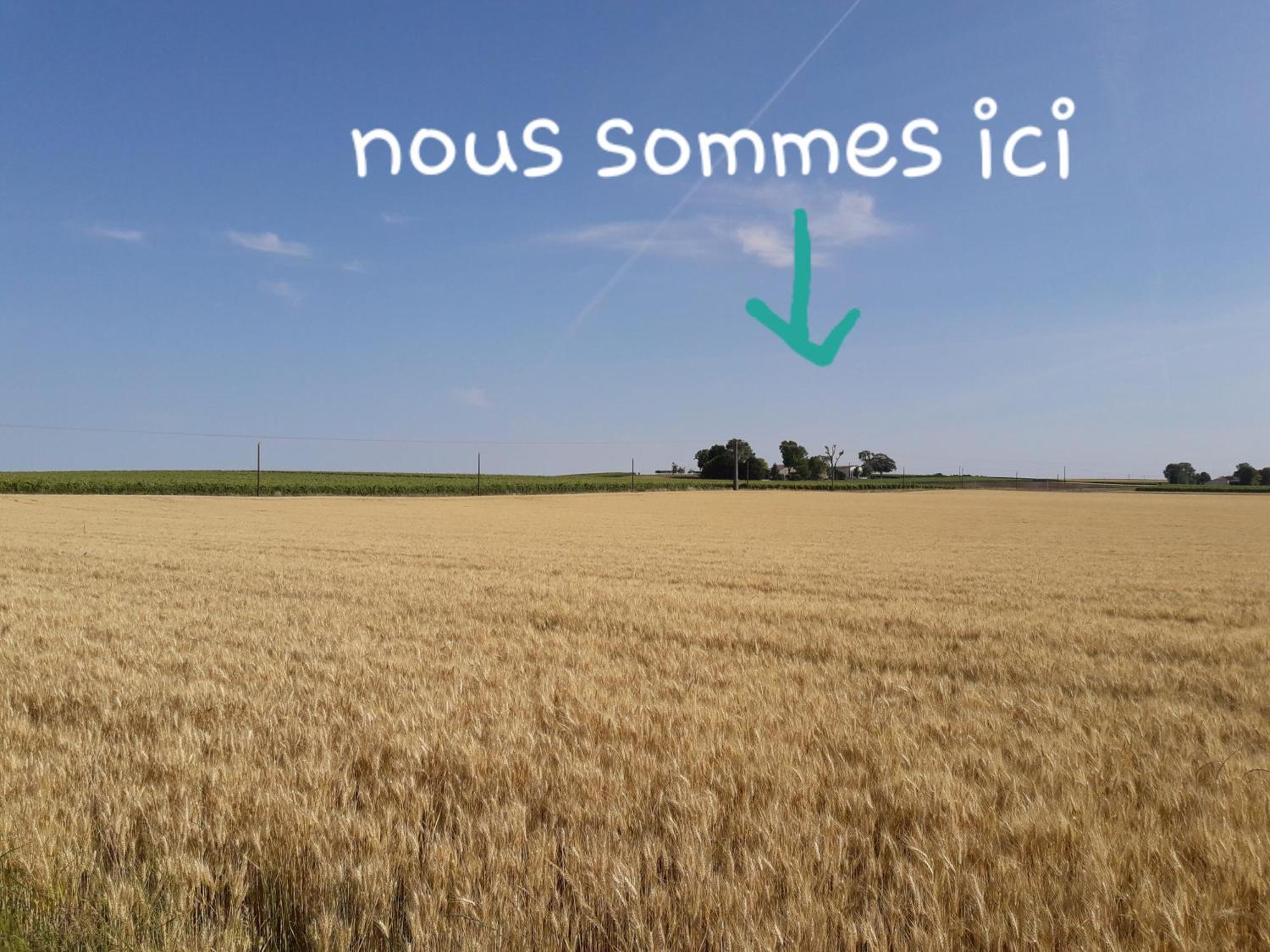 Appartamento La Metairie Au Milieu Des Vignes Réaux Esterno foto