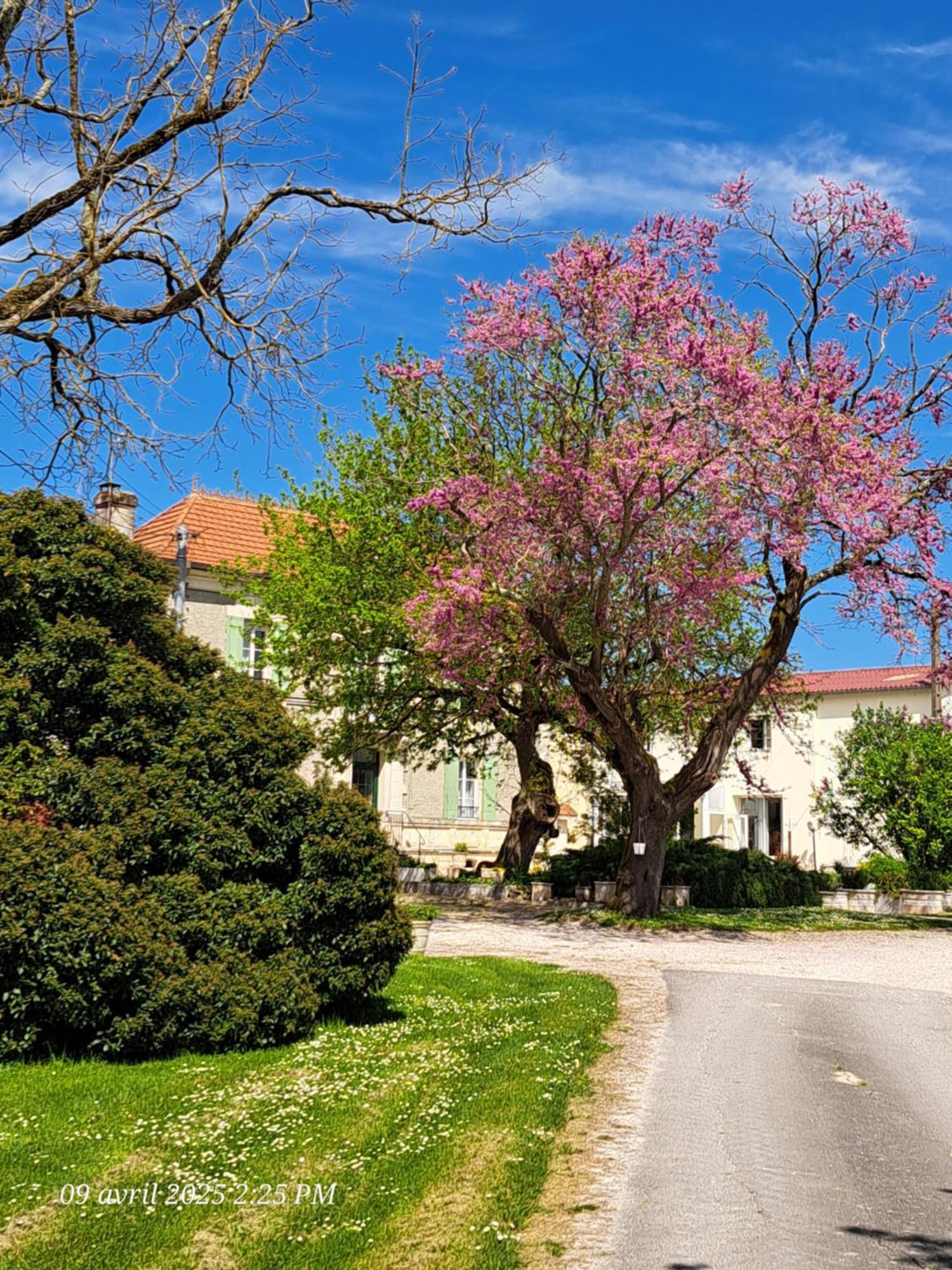 Appartamento La Metairie Au Milieu Des Vignes Réaux Esterno foto